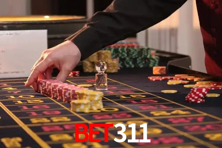 Interface Premium bet311
