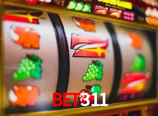 Descubra o Mundo do Cassino Online com bet311