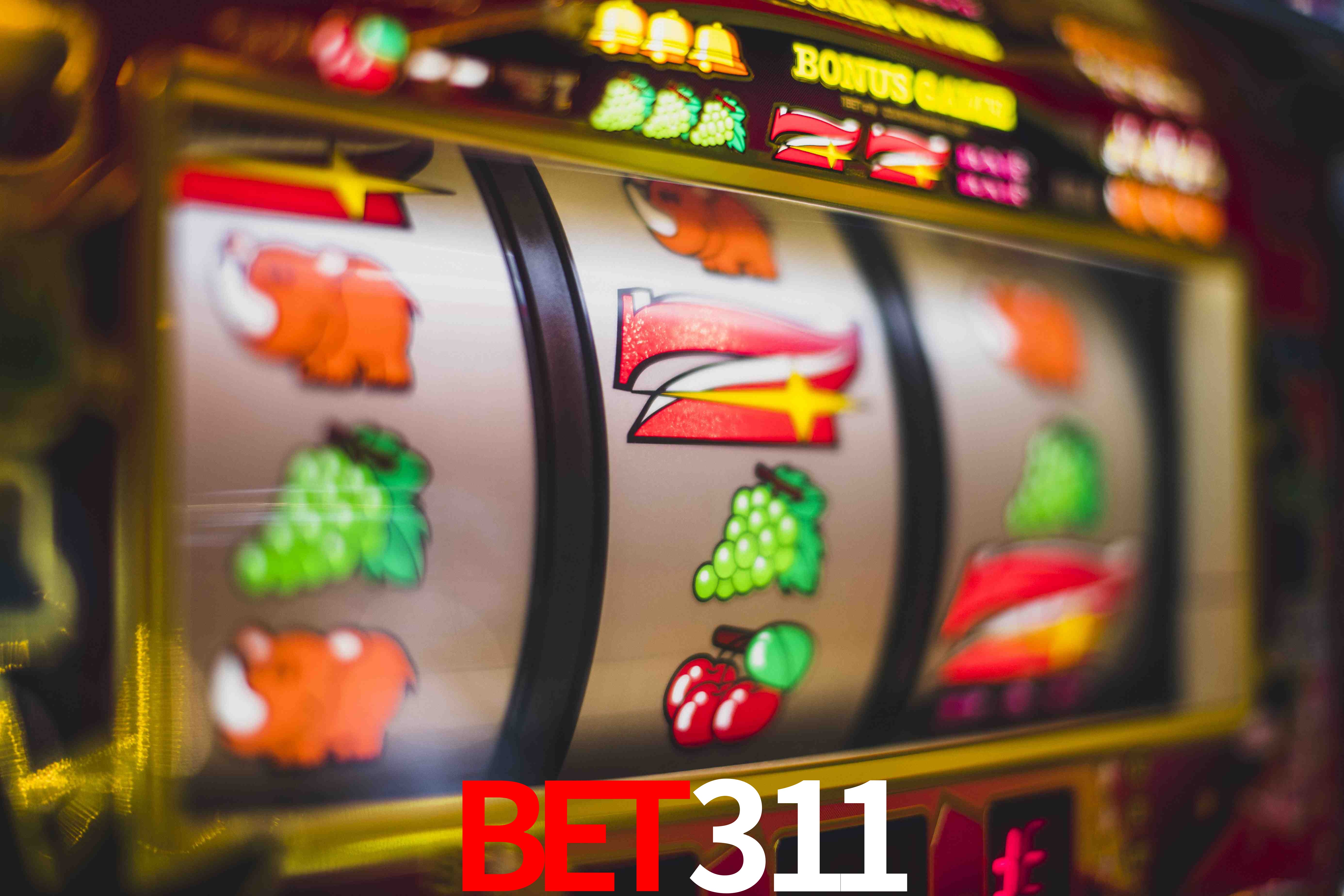 VIP Casino bet311